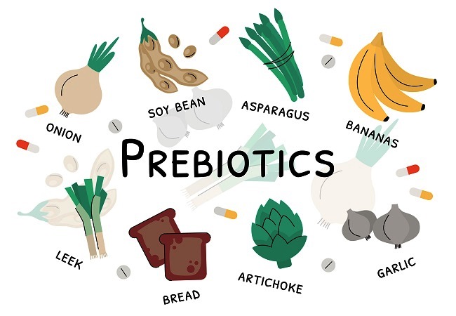 Prebiotici su neprobavljeni dijelovi hrane - Kivilaks